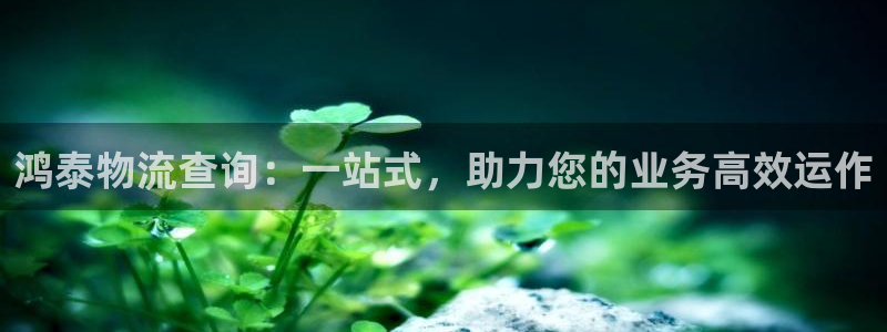 豪门国际预测：鸿泰物流查询：一站式，
