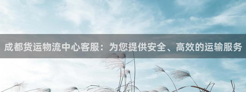 豪门国际链接来一个：成都货运物流中心