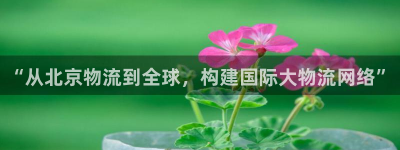 豪门国际和南宫28什么关系