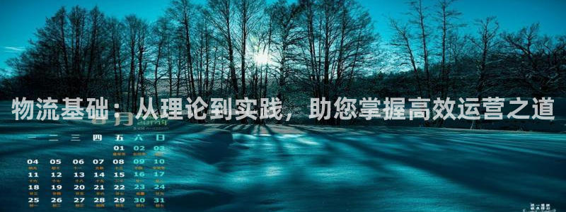 加拿大豪门国际数字规则：物流基础：从
