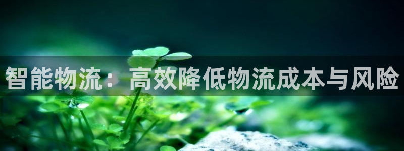 豪门国际推广链接是多少钱一个：智能物