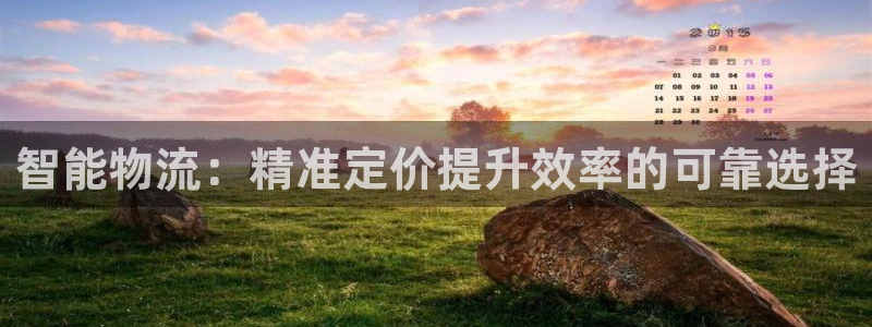加拿大豪门国际数字规则：智能物流：精