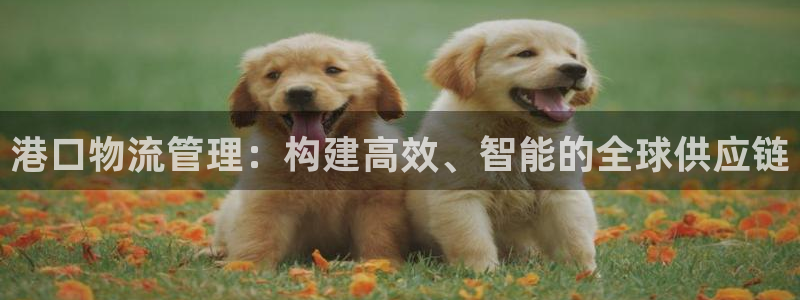 豪门国际注册账号：港口物流管理：构建