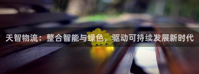 豪门国际充值不到账什么原因：天智物流