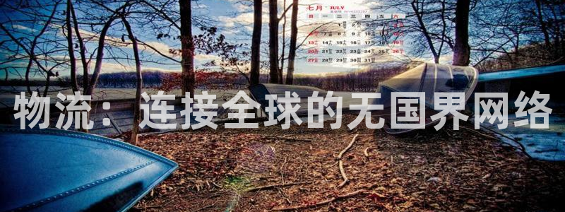 豪门国际麻将：物流：连接全球的无国界