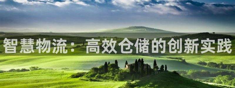 豪门国际预测加拿大：智慧物流：高效仓