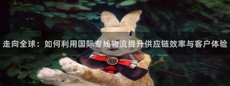 豪门国际官网入口：走向全球：如何利用