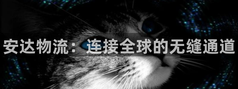 豪门国际推广链接是多少粉丝：安达物流