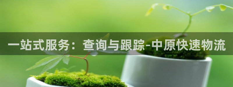 豪门国际注册登录：一站式服务：查询与