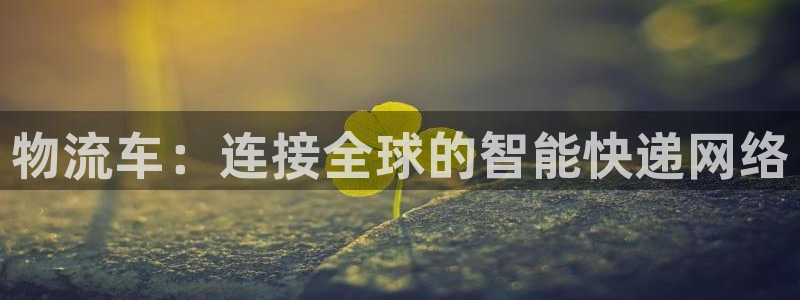 自行车豪门国际是什么意思：物流车：连接全球的智能快递网络
