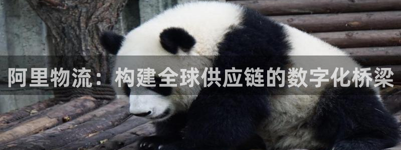 豪门国际自行车搞笑图片：阿里物流：构