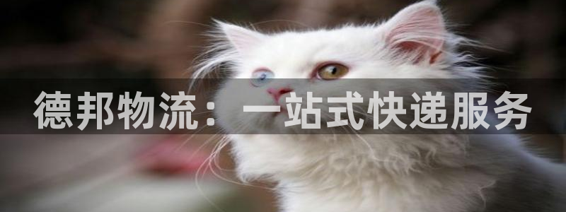 豪门国际软件总是闪退怎么回事