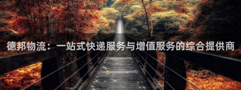 豪门国际注册网址百度知道：德邦物流：一站式快递服务与增值服务