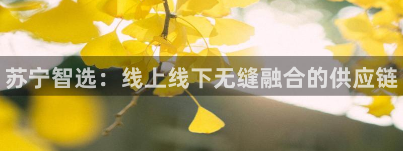 豪门国际可靠吗：苏宁智选：线上线下无