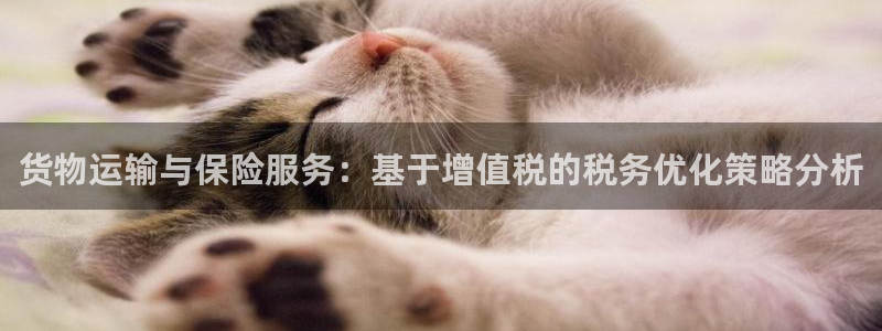豪门国际娱乐官网网页下载：货物运输与保险服务：基于增值税的税