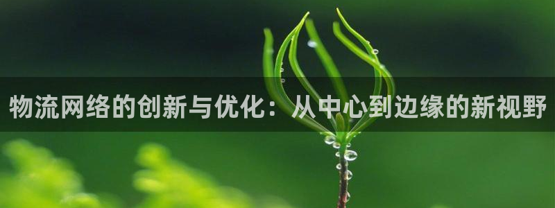 豪门国际登录：物流网络的创新与优化：