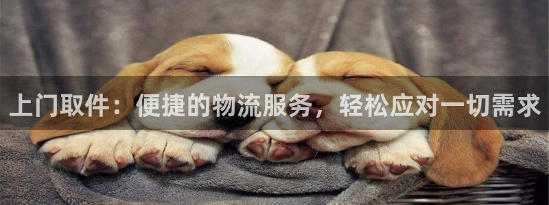 豪门国际黑不黑：上门取件：便捷的物流服务，轻松应对一切需求