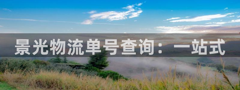 豪门国际怎么下载教程：景光物流单号查