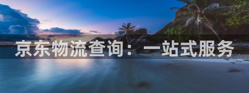 豪门国际系统自动保护：京东物流查询：一站式服务