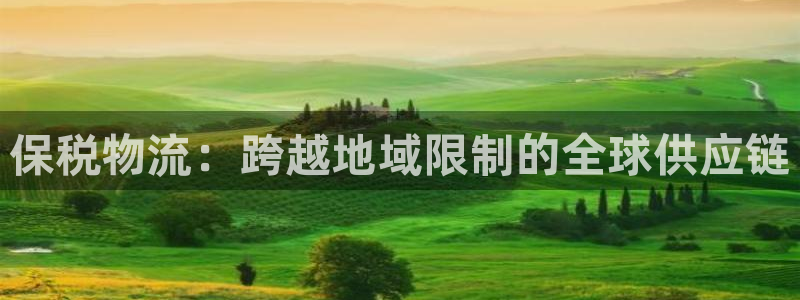 豪门国际推广链接是多少钱一个：保税物